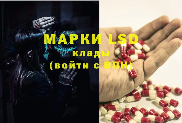 PSILOCYBIN Алексеевка