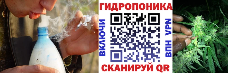 KRAKEN сайт  как найти закладки  Камызяк  Бошки Шишки индика 